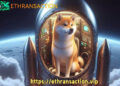 Driving Dogecoin Growth Ethransaction Offers Secure and Accessible Cloud Mining Solutions FirstPublisher.org