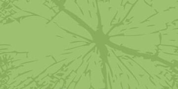 Beyond the Ask Fundraising Guide Launches with Interactive Assessment Tool - FirstPublsiher.org