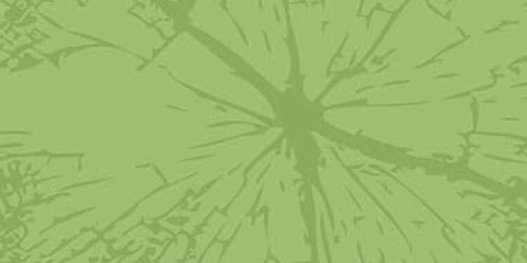 Beyond the Ask Fundraising Guide Launches with Interactive Assessment Tool - FirstPublsiher.org