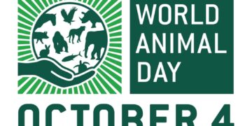 Celebrate 100 Years of World Animal Day at Remus Horse Sanctuary on Sunday 5 October 2025 - FirstPublisher.org