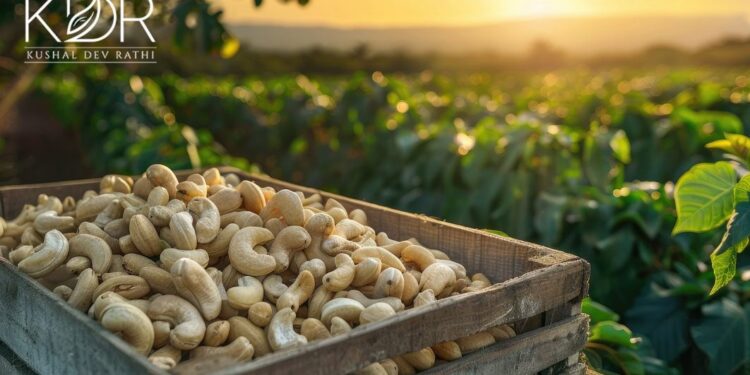 Collaborative Managed Farmland in India The Next Big Wealth Opportunity, Says Kushal Dev Rathi - Firstublisher.org