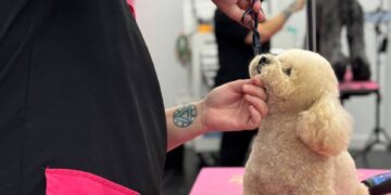 Groom Haüs Opens State-of-the-Art Dog Grooming Academy and Salon in South Florida - FirstPublisher.org