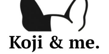 Koji & Me Launches New Online Dog Store Inspired by Paralysed French Bulldog Living their Full Life - FirstPublisher.org