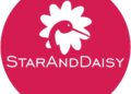 StarAndDaisy Launches Mega Festive Sale with Same-Day Delivery via SND Quick - FirstPublisher.org