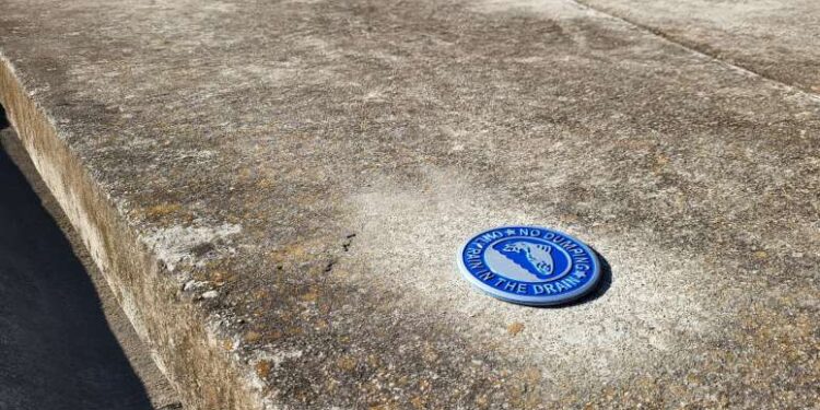 Georgia's Gwinnett Clean & Beautiful Makes Storm Drains Its Focus for Great Days of Service - FirstPublisher.org