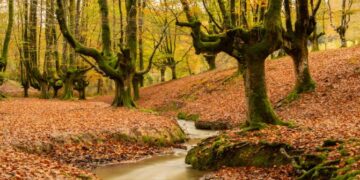 Discover the Spirit of the Basque Country New Basque Country Guide Website Launches for Authentic Travel Inspiration - FirstPublisher.org