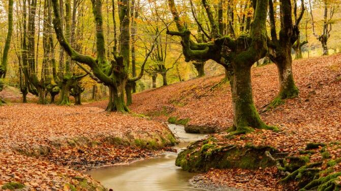 Discover the Spirit of the Basque Country New Basque Country Guide Website Launches for Authentic Travel Inspiration - FirstPublisher.org