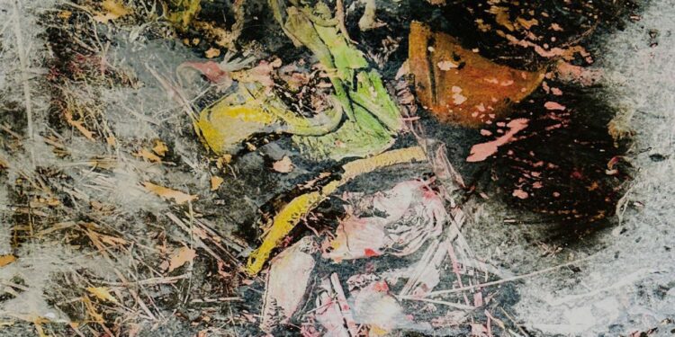 Grammy award-winning Cuban-Canadian artist Alex Cuba releases his 11th studio album, Indole - FirstPublisher.org