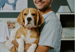 Indian Peaks Veterinary Hospital Enhances Pet Surgery Services for Boulder's Pet Owners - FirstPublisher.org