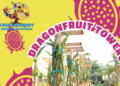 Dragon Fruit Towers 250+ Fruits in 4x4 Space. Luxury Produce Now Easy for Homeowners - FirstPublisher.org