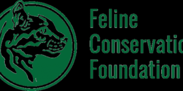 Feline Conservation Foundation Receives Education Award of Excellence at the 25 Zoological Associat - FirstPublisher.org