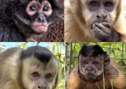 Out of the Dark, Into the Light - FirstPublisher.org