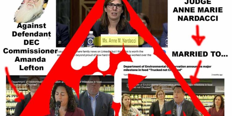 Stunning Federal Irregularities Raise Alarms in High-Stakes Civil Rights Case Against NYS DEC - FirstPublisher.org