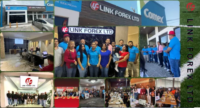 LINK FOREX Accelerates Global Expansion in 2026, Reshaping How Retail Investors Participate in Global Markets with Technology - FIrstPublisher.org