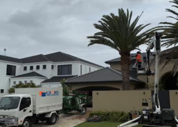 GDE Tree Services Expands Operations into Sydney, NSW - FirstPublisher.org