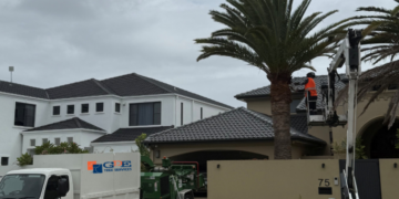 GDE Tree Services Expands Operations into Sydney, NSW - FirstPublisher.org