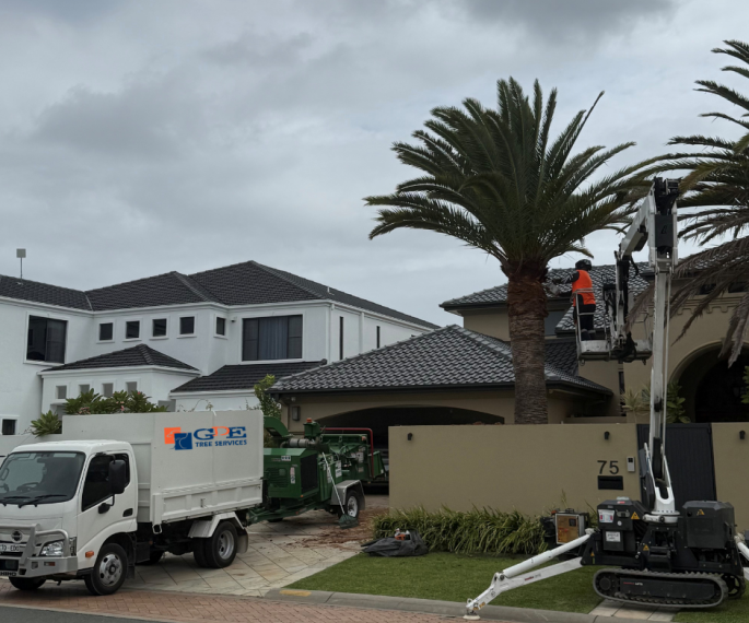 GDE Tree Services Expands Operations into Sydney, NSW - FirstPublisher.org