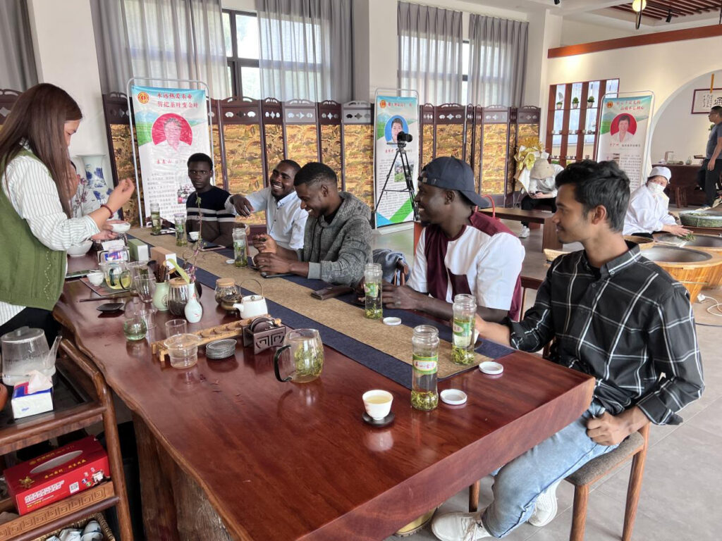 Поля зеленого чая в Ланьшо и Шаньдуне открывают путь к возрождению сельской местности