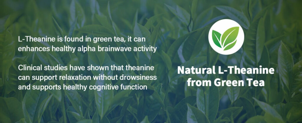 HojaSana Launches L-Theanine Complex to Support Stress Relief, Calm Focus, and Sleep Routine in Growing U.S. Wellness Market