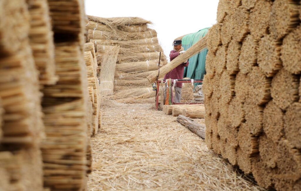 Wudi-County-Reed-Curtain-Industry-Weaves-a-New-Vision-for-Rural-Prosperity-1024x650.jpg