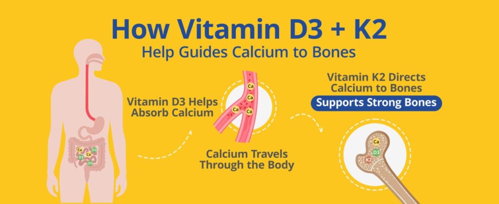 ViVi-Youth-Launches-High-Potency-Vitamin-D3-K2-Supplement-to-Support-Daily-Bone-Muscle-and-Immune-Wellness-3-1024x419.jpg